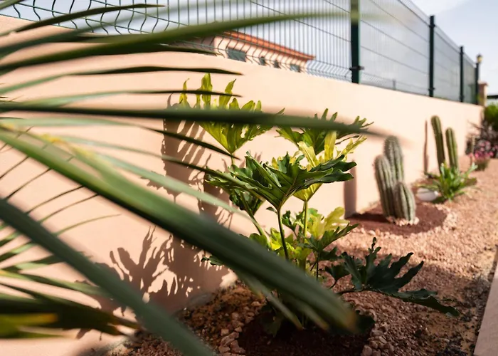 Kunuk Fuerteventura *