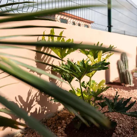 Kunuk Fuerteventura *