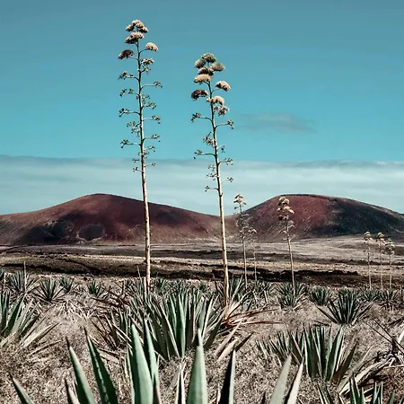 Kunuk Fuerteventura 빌라